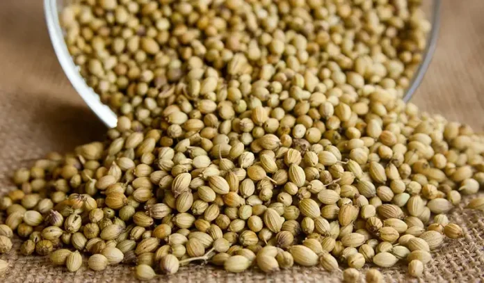 Coriander Seeds